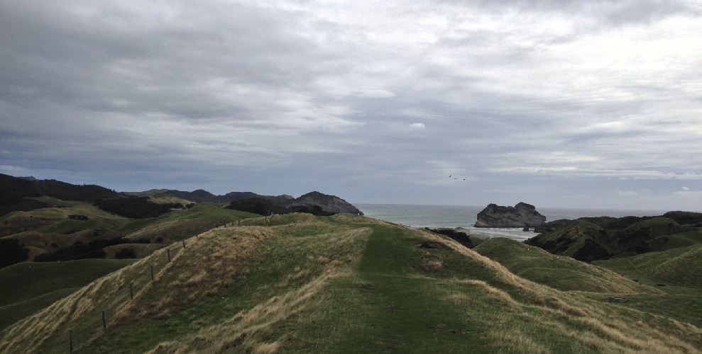 Nelson 2014